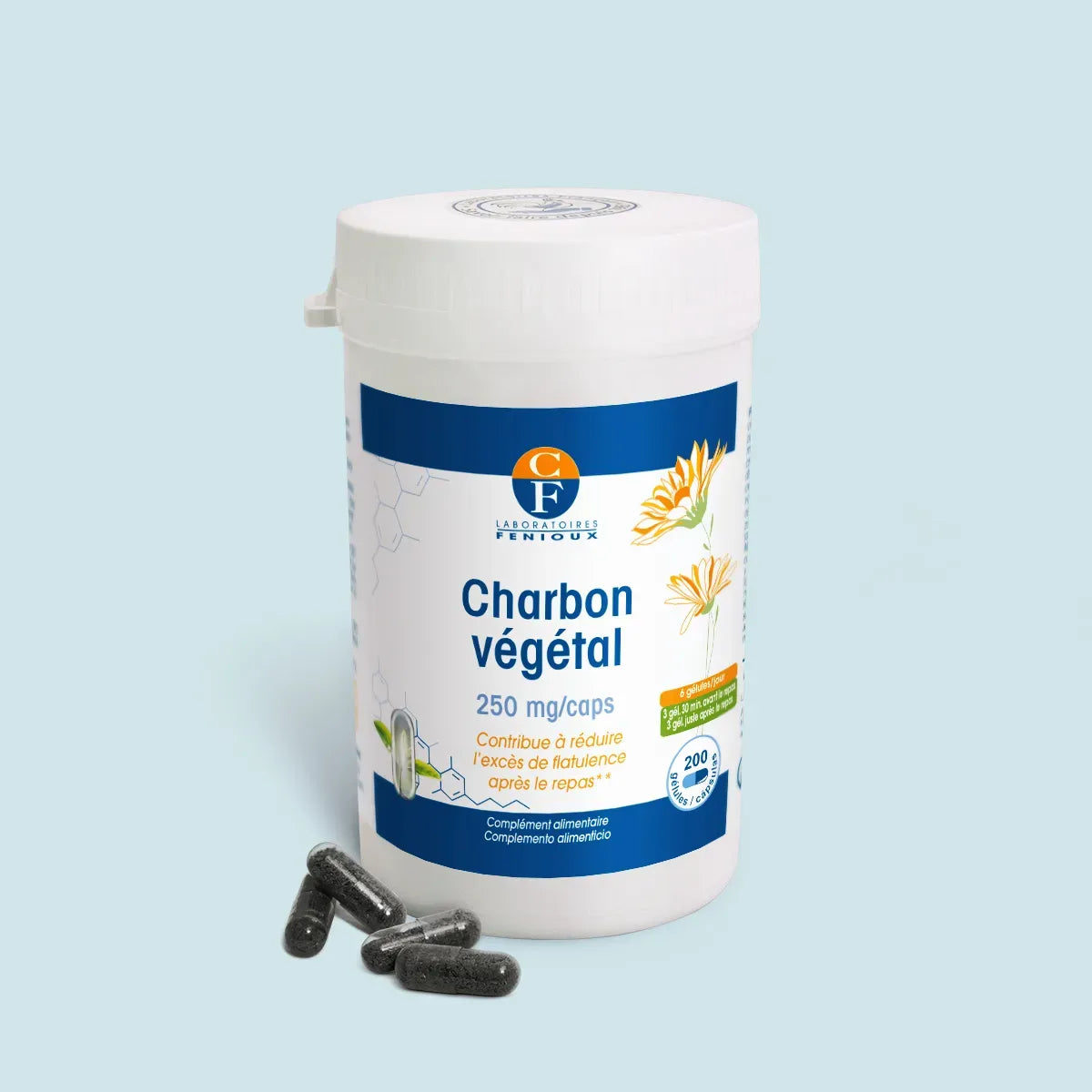 Charbon Végétal