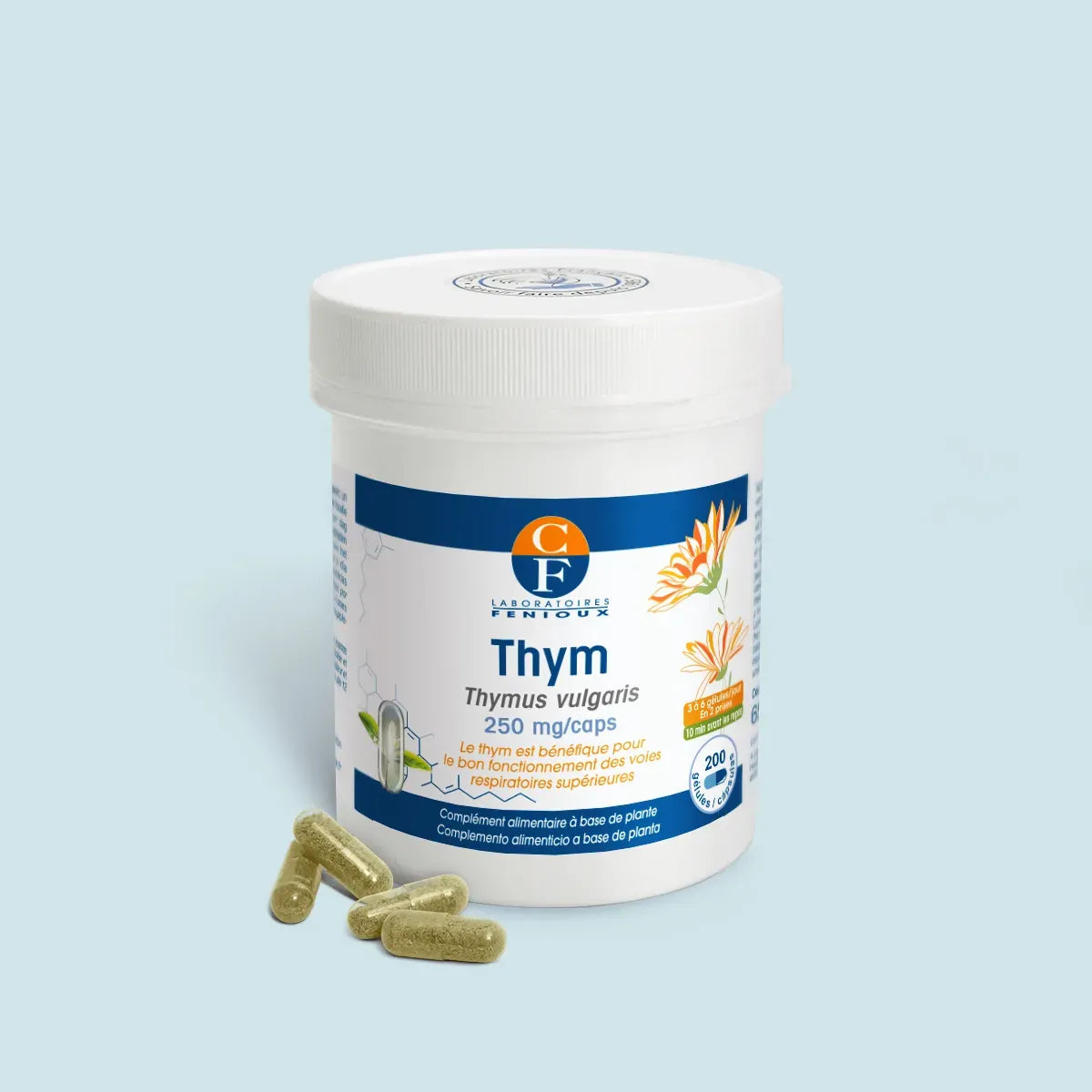 Thym (Thymus vulgaris)