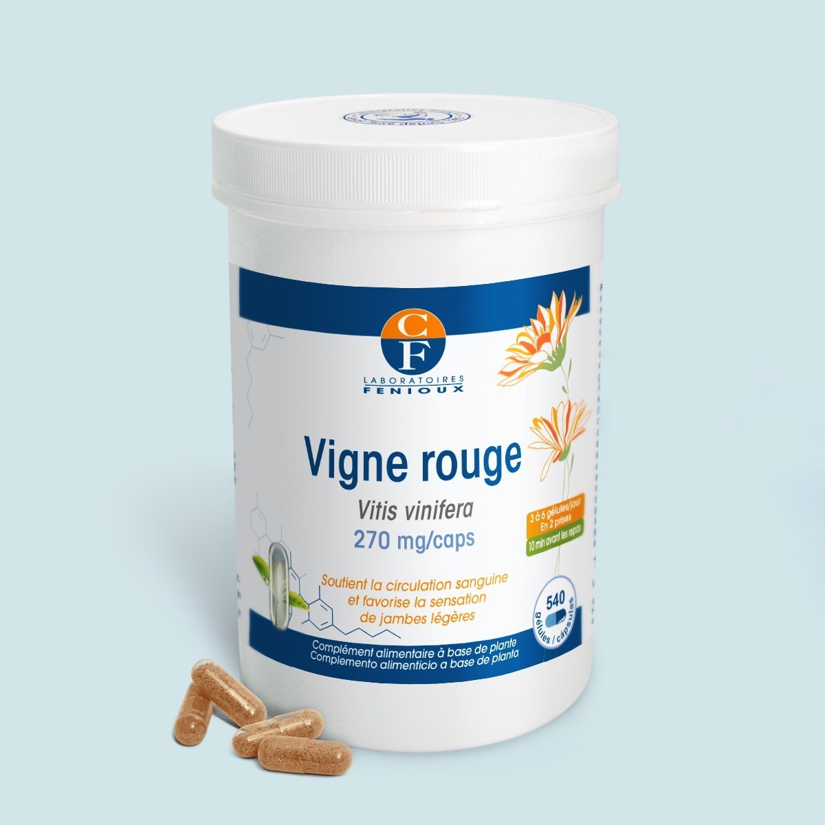 Vigne Rouge (Vitis vinifera) 540