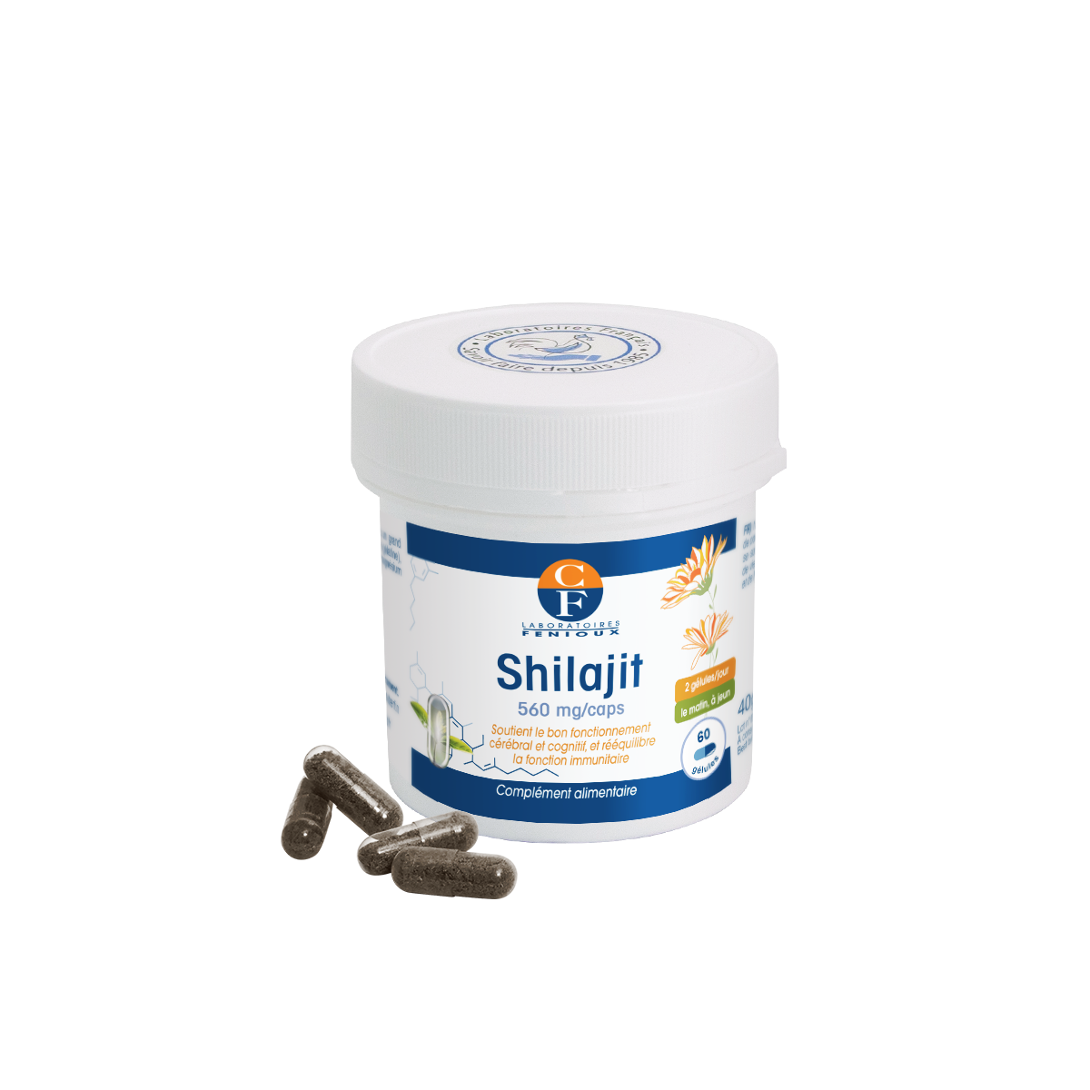 Shilajit