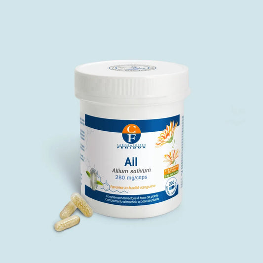 Ail (Allium sativum)