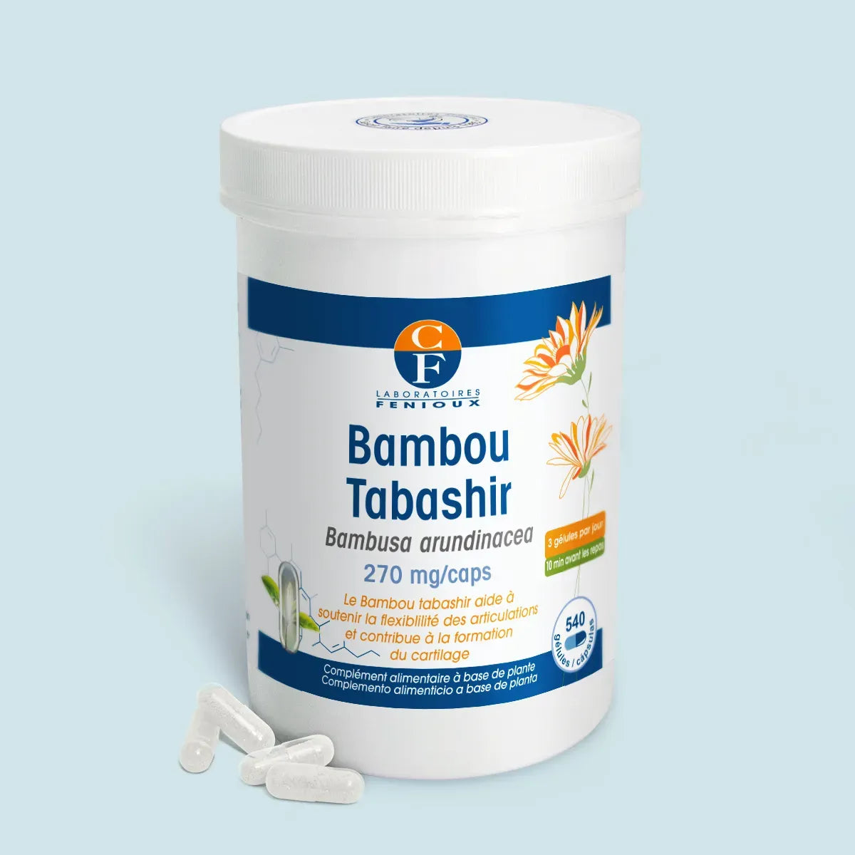 Bambou Tabashir (Bambusa arundinacea) 540