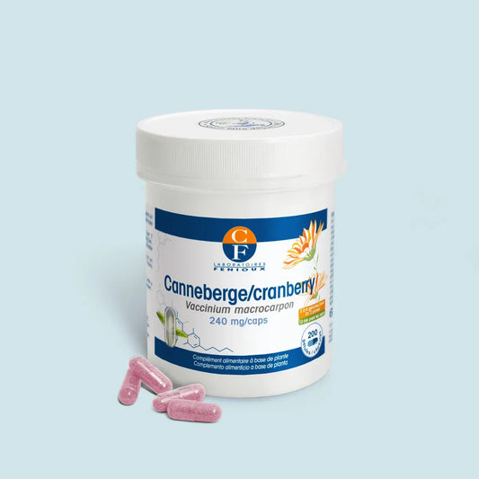Canneberge (Vaccinium macrocarpon)
