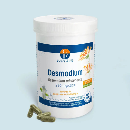 Desmodium adscendens 480