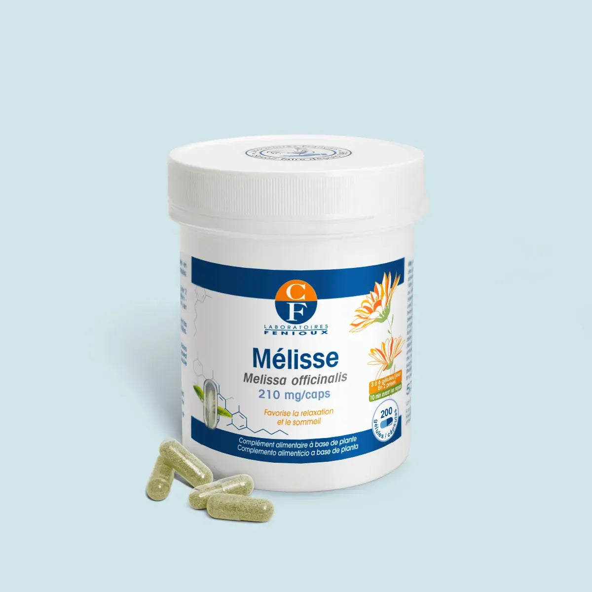 Mélisse (Melissa officinalis)