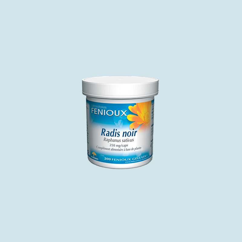 Radis noir (Raphanus sativus niger)