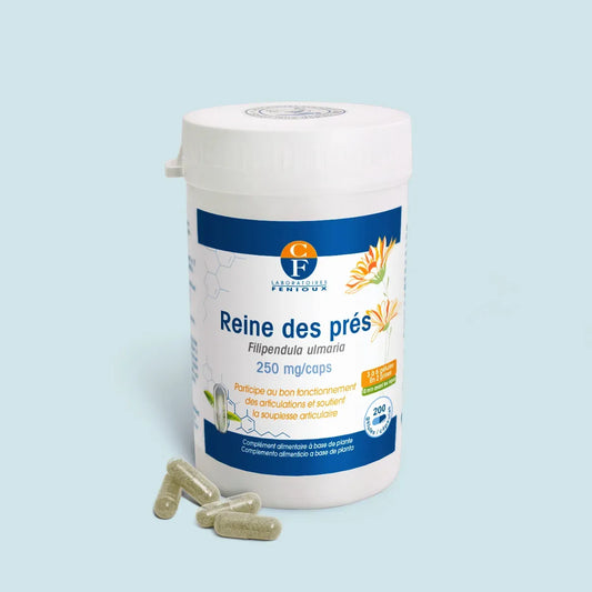 Reine des prés (Filipendula ulmaria)