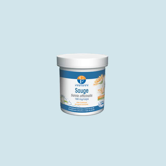 Sauge (Salvia officinalis)