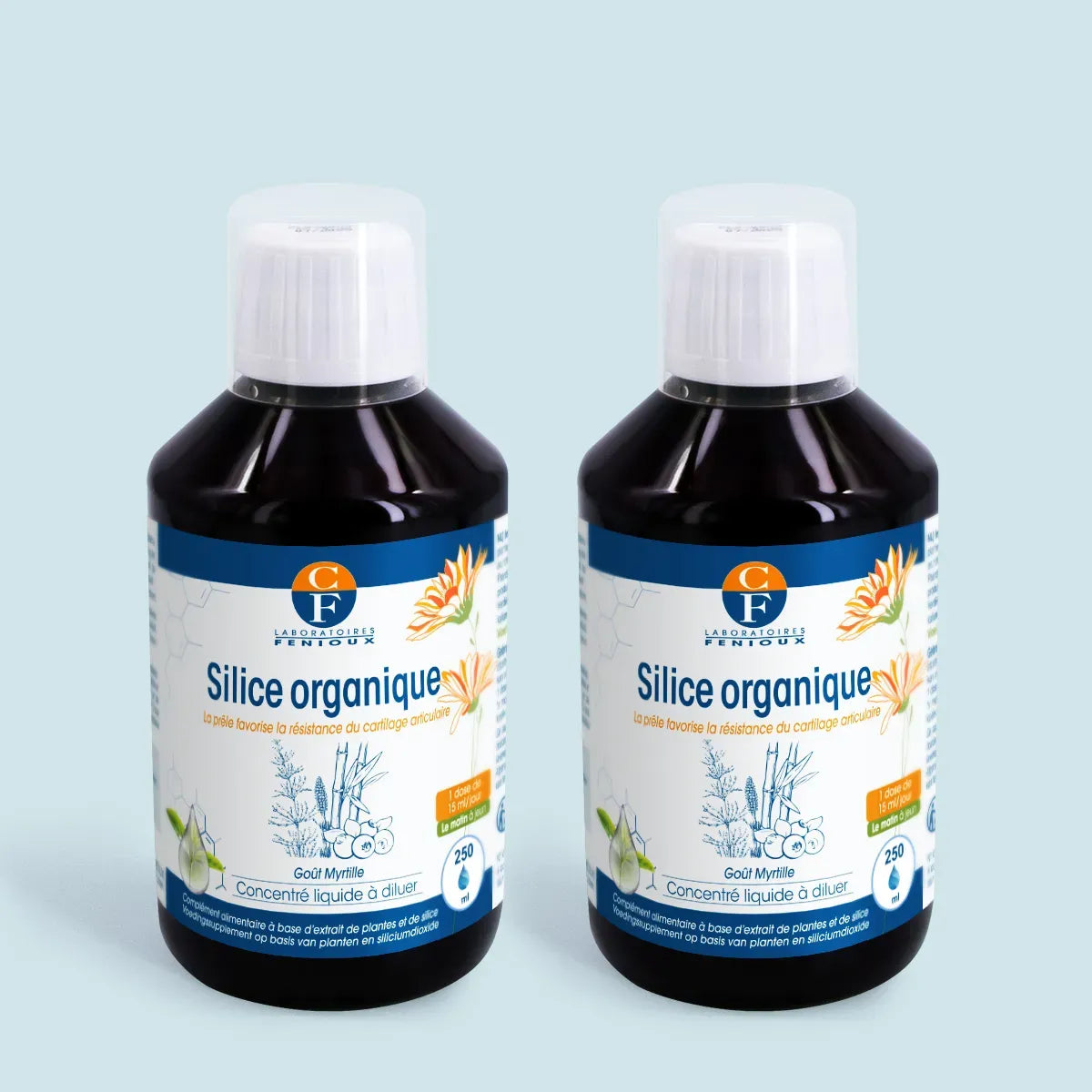 Silice organique (lot)
